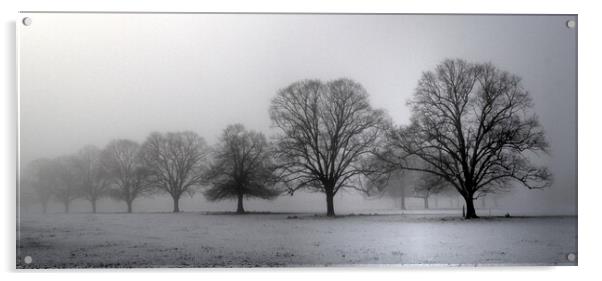 Trees in morning mist  Acrylic by Jon Fixter