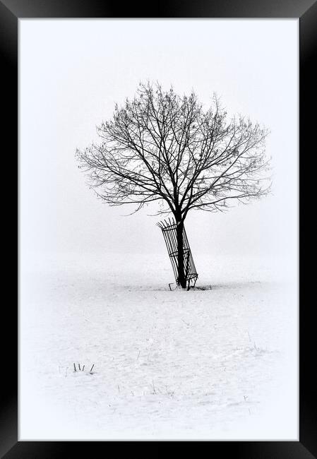 A Lone winters tree  Framed Print by Jon Fixter