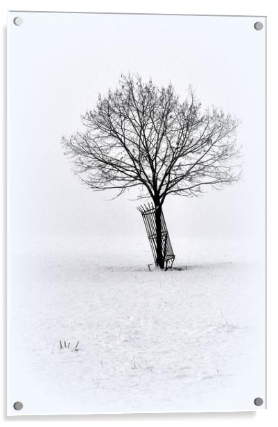 A Lone winters tree  Acrylic by Jon Fixter
