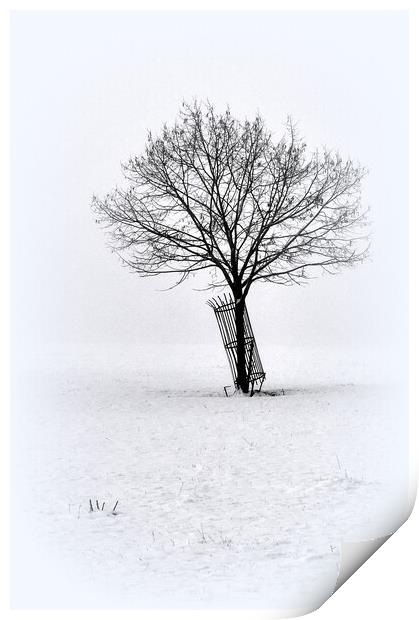 A Lone winters tree  Print by Jon Fixter