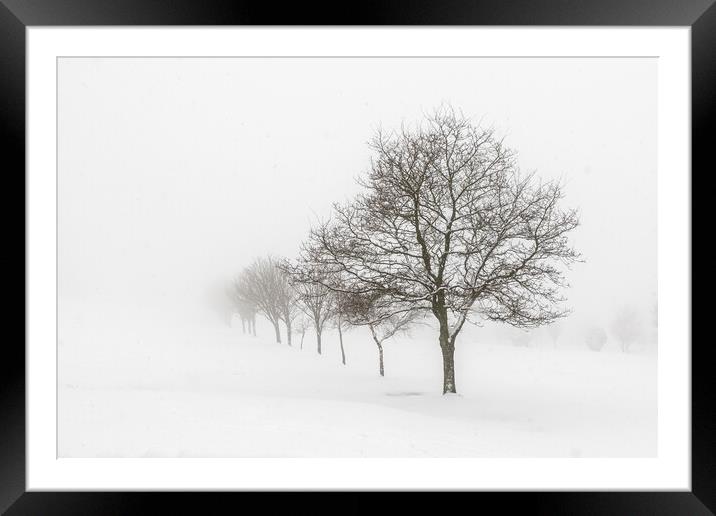 Whiteout  Framed Mounted Print by chris smith