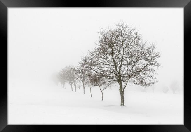 Whiteout  Framed Print by chris smith