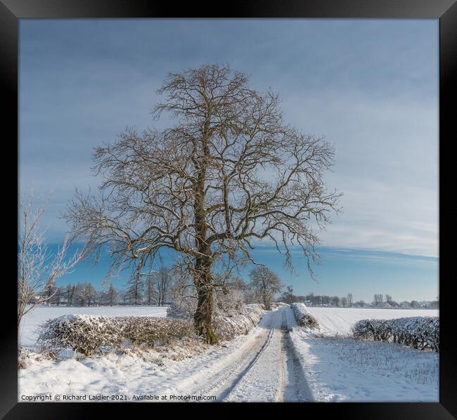 Van Farm Lane in Snow (3) Framed Print by Richard Laidler