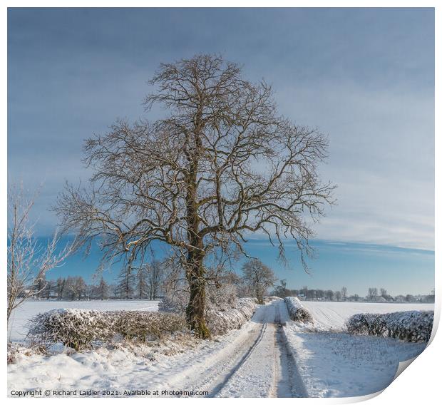 Van Farm Lane in Snow (3) Print by Richard Laidler