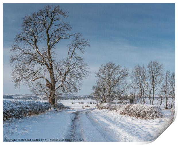 Van Farm Lane in Snow (1) Print by Richard Laidler