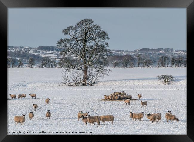 Winter at Hutton Hall Farm Jan 2021 (1) Framed Print by Richard Laidler