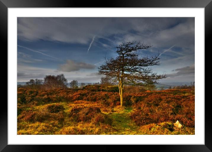 Stanton Moor at sunset  Framed Mounted Print by Chris Drabble