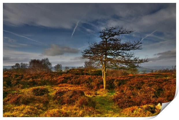 Stanton Moor at sunset  Print by Chris Drabble