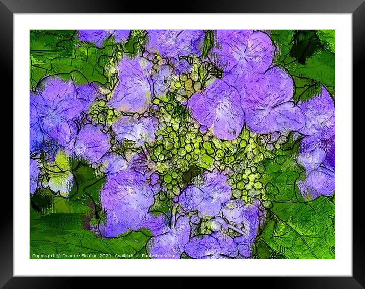 Vivid Purple Blossom Framed Mounted Print by Deanne Flouton