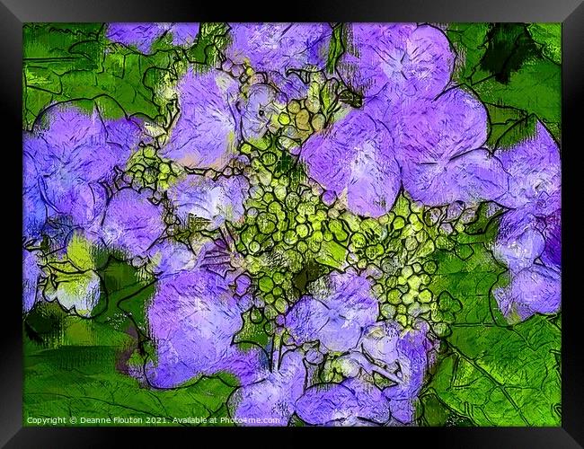 Vivid Purple Blossom Framed Print by Deanne Flouton