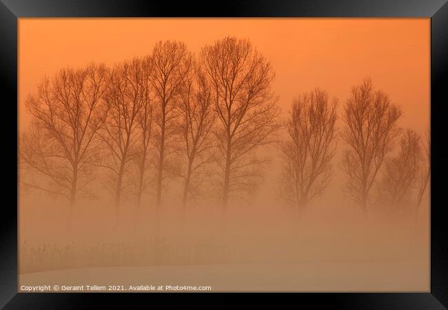 Trees in freezing mist, The fens, Norfolk, England, UK Framed Print by Geraint Tellem ARPS