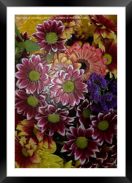 Floral Delight Framed Mounted Print by Christine Lake