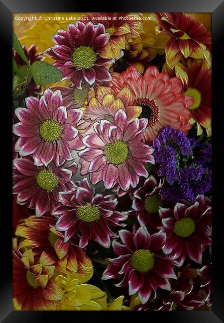 Floral Delight Framed Print by Christine Lake