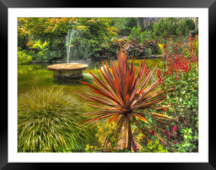Fountain and Fabulous Foliage Garden Scotland Framed Mounted Print by OBT imaging