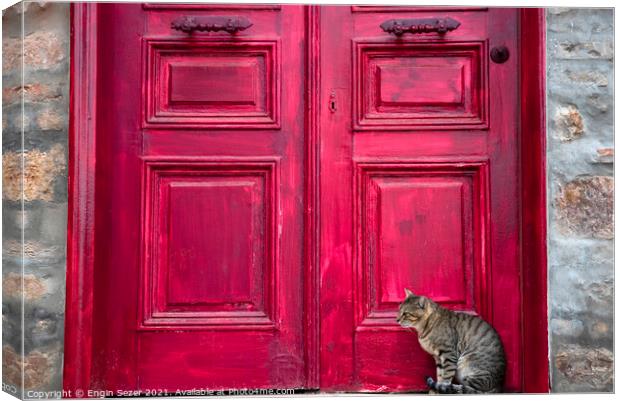 Cute Tabby Cat is Sitting Beside Red Wooden House Door Canvas Print by Engin Sezer