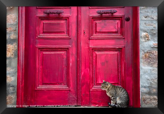 Cute Tabby Cat is Sitting Beside Red Wooden House Door Framed Print by Engin Sezer