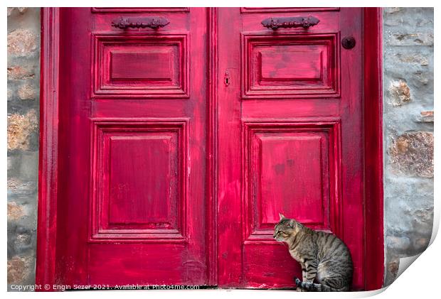 Cute Tabby Cat is Sitting Beside Red Wooden House Door Print by Engin Sezer