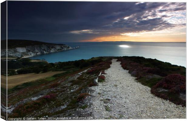 The Needles and Dorset coast from Headon Warren above Alum Bay, Isle of Wight, UK Canvas Print by Geraint Tellem ARPS