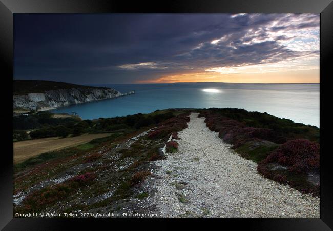 The Needles and Dorset coast from Headon Warren above Alum Bay, Isle of Wight, UK Framed Print by Geraint Tellem ARPS