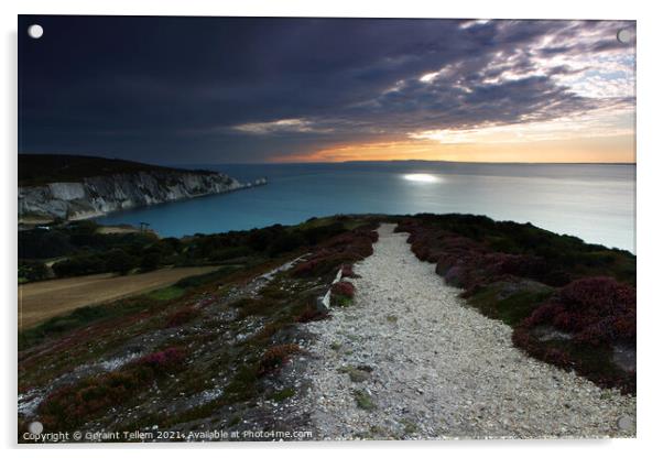 The Needles and Dorset coast from Headon Warren above Alum Bay, Isle of Wight, UK Acrylic by Geraint Tellem ARPS