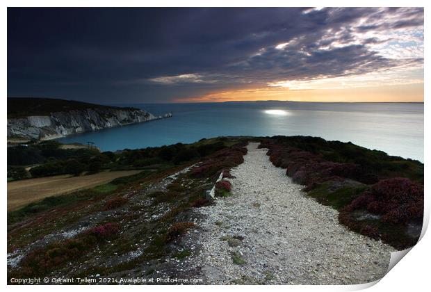 The Needles and Dorset coast from Headon Warren above Alum Bay, Isle of Wight, UK Print by Geraint Tellem ARPS