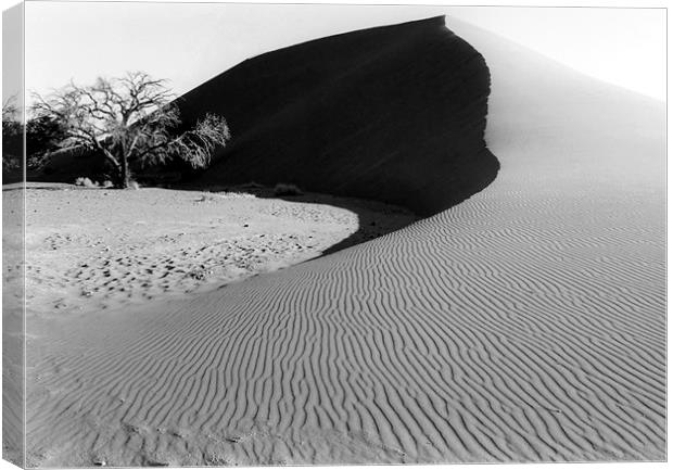 Dune 45 and a Lonesome Tree Canvas Print by Serena Bowles