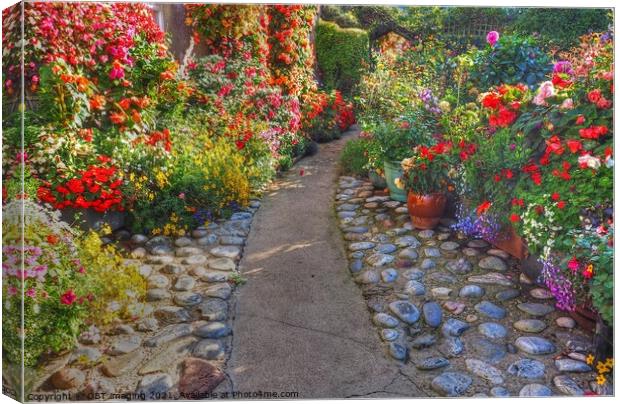Cottage Garden Path  Canvas Print by OBT imaging