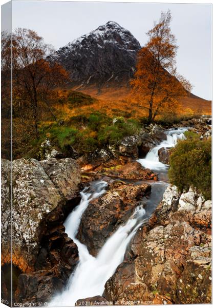 Buachaille Etive Mor in autumn, Scotland, UK Canvas Print by Geraint Tellem ARPS