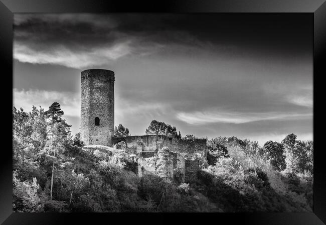 Dobronice castle. Framed Print by Sergey Fedoskin