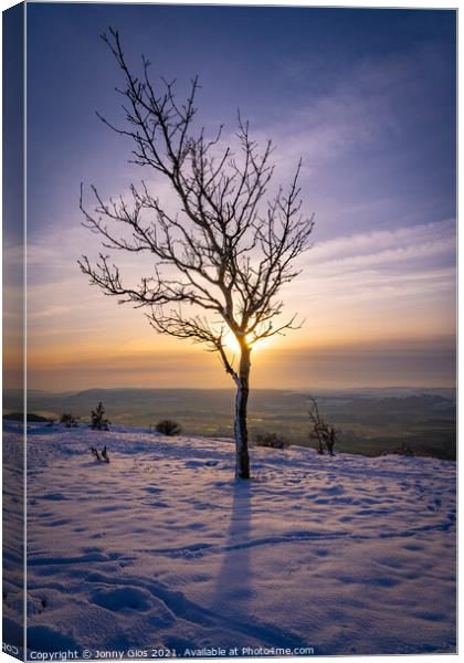 Lonely Tree at Scout Scar Canvas Print by Jonny Gios
