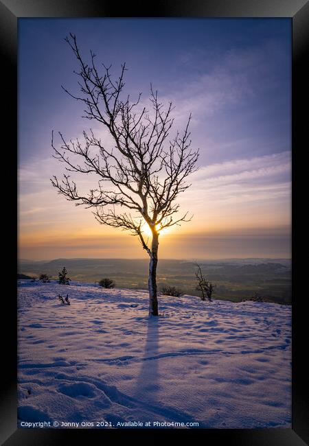 Lonely Tree at Scout Scar Framed Print by Jonny Gios
