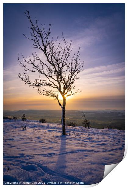 Lonely Tree at Scout Scar Print by Jonny Gios