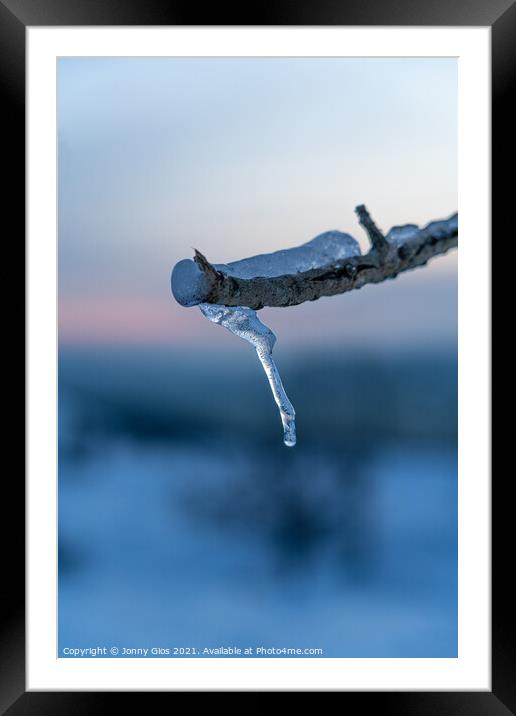 Ice Branch  Framed Mounted Print by Jonny Gios