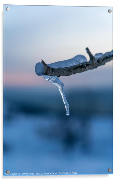Ice Branch  Acrylic by Jonny Gios