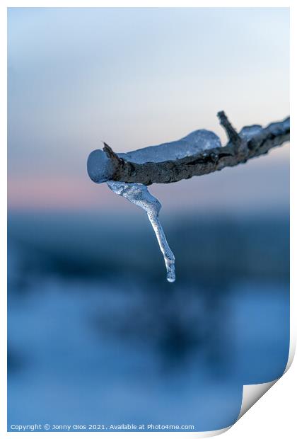 Ice Branch  Print by Jonny Gios