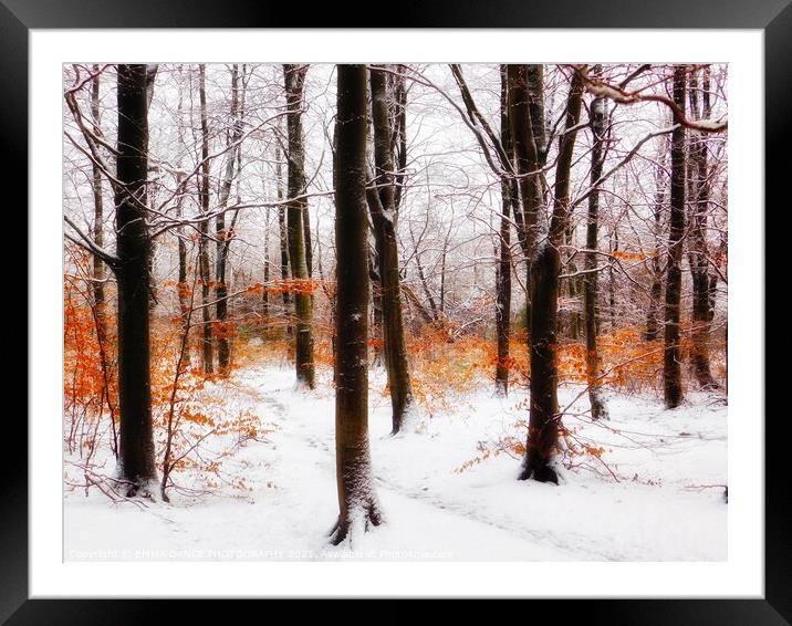 Winter Wonderland in Chopwell Woods Framed Mounted Print by EMMA DANCE PHOTOGRAPHY