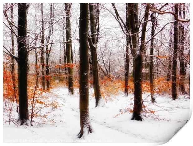 Winter Wonderland in Chopwell Woods Print by EMMA DANCE PHOTOGRAPHY