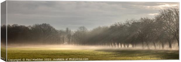 Sefton Park Morning Mist Canvas Print by Paul Madden