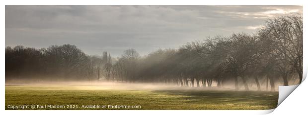 Sefton Park Morning Mist Print by Paul Madden