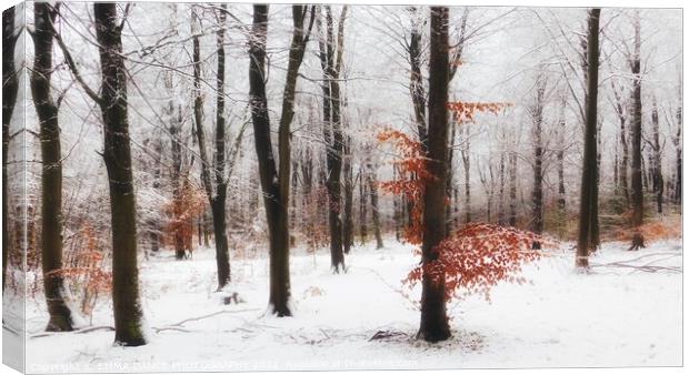 Winter Wonderland in Chopwell Woods Canvas Print by EMMA DANCE PHOTOGRAPHY
