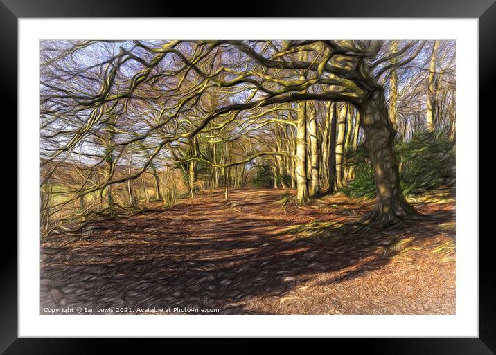 Sunny Winter Woodland  Digital Art Framed Mounted Print by Ian Lewis