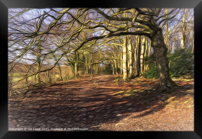 Sunny Winter Woodland  Digital Art Framed Print by Ian Lewis