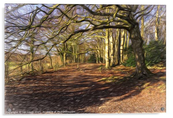 Sunny Winter Woodland  Digital Art Acrylic by Ian Lewis