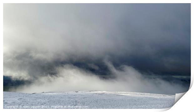 Windblown Cloud Print by Gary Liggett
