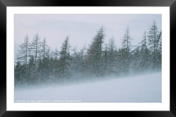 Snowstorm in the Northern Pennines Framed Mounted Print by Gary Liggett