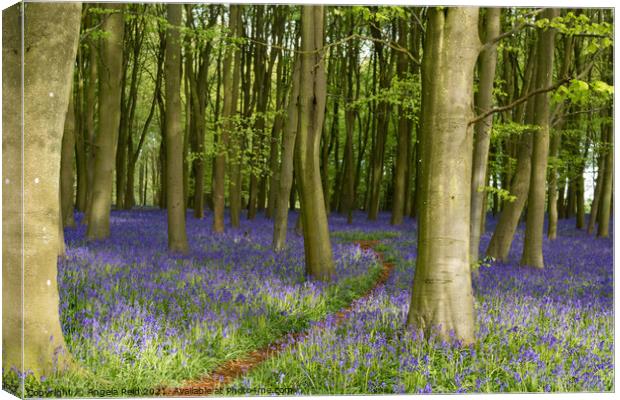 Pathway Through the Bluebells Canvas Print by Reidy's Photos
