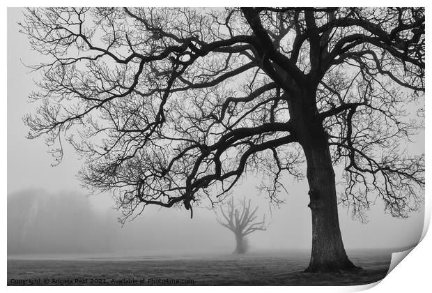 Misty Trees Print by Reidy's Photos