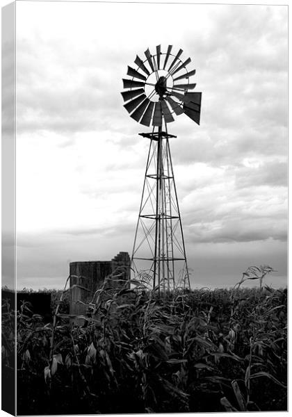 The windmill Canvas Print by Hush Naidoo