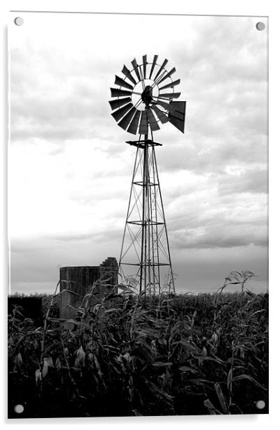 The windmill Acrylic by Hush Naidoo