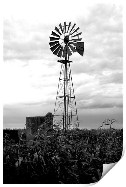 The windmill Print by Hush Naidoo